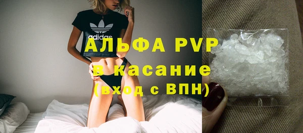 прущие грибы Бородино