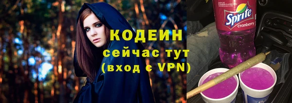 прущие грибы Бородино