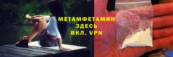 прущие грибы Бородино