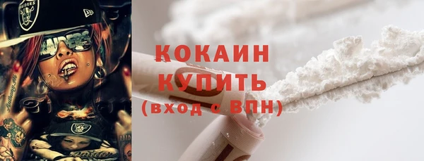 твердый Богородск