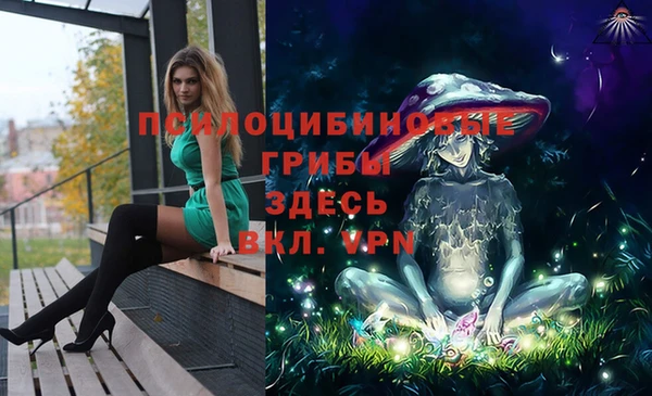 прущие крисы Бронницы
