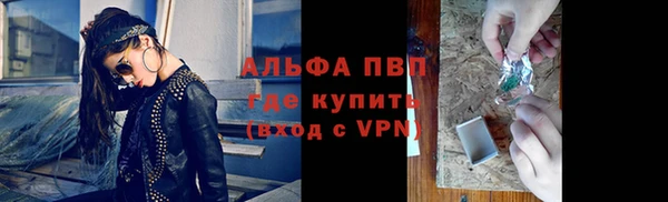 прущие грибы Бородино