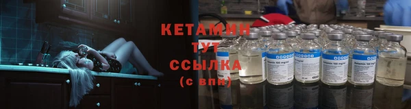прущие грибы Бородино