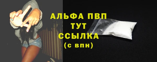 прущие грибы Бородино