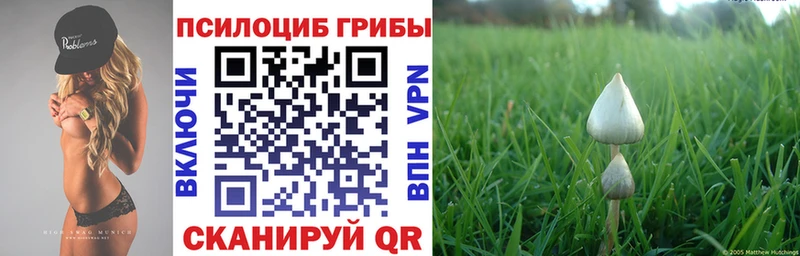 Псилоцибиновые грибы ЛСД  Купить закладки  Полевской 